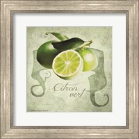 Framed 'Vintage Limes Citron' border=