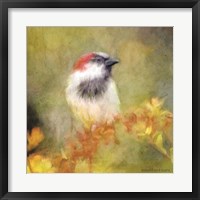 Framed Backyard Bird in Autumn
