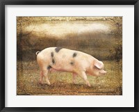 Framed Vintage Sow