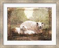 Framed Vintage Ewe and Sleeping Lambs