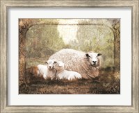 Framed Vintage Ewe and Sleeping Lambs