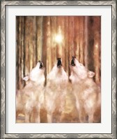 Framed Three Wolf Howl