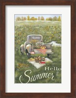 Framed Hello Summer