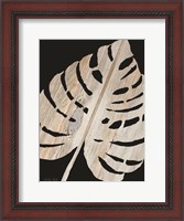 Framed Palm Frond Wood Grain III