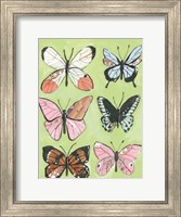 Framed Butterfly Beauty
