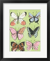 Framed Butterfly Beauty