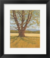 Framed Spring Meadow