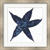 Framed Midnight Starfish