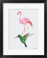 Framed Hummingbird and the Flamingo