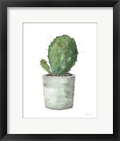 Mixed Greens Succulent VI Framed Print