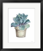 Framed Mixed Greens Succulent IV