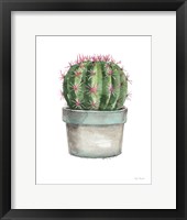 Mixed Greens Succulent II Framed Print