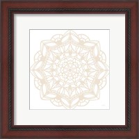 Framed 'Contemporary Lace Neutral IV' border=