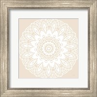 Framed Contemporary Lace Neutral II