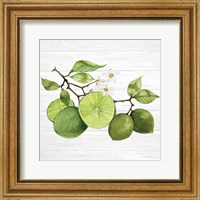 Framed 'Citrus Garden VII Shiplap' border=