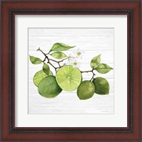 Framed 'Citrus Garden VII Shiplap' border=