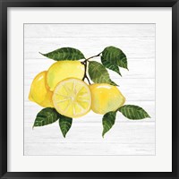 Framed Citrus Garden VI Shiplap