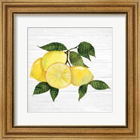 Framed Citrus Garden VI Shiplap