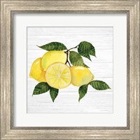 Framed Citrus Garden VI Shiplap