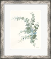 Framed Scented Sprig III Cool