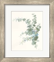 Framed Scented Sprig III Cool