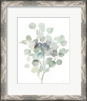 Framed Eucalyptus III Cool