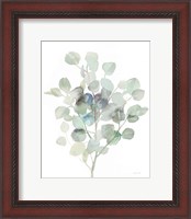 Framed Eucalyptus III Cool