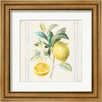 Framed Floursack Lemons IV Sq Navy