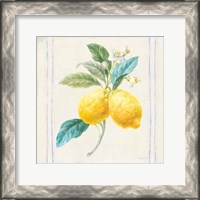 Framed Floursack Lemons III Sq Navy
