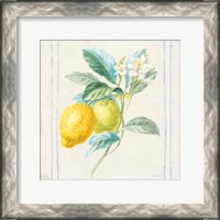 Framed Floursack Lemons II Sq Navy