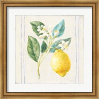 Framed Floursack Lemons I Sq Navy