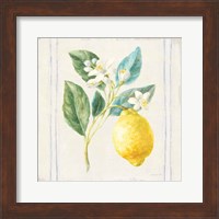 Framed Floursack Lemons I Sq Navy