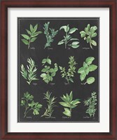 Framed Herb Chart on Black White Border