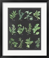 Framed Herb Chart on Black White Border