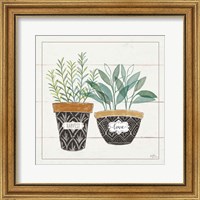 Framed Fine Herbs IV Love