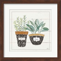 Framed Fine Herbs IV Love