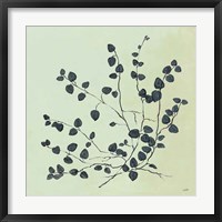 Framed 'Botanical Study VII Sage' border=