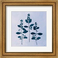 Framed Botanical Study IV Blue