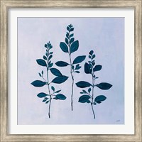 Framed 'Botanical Study IV Blue' border=