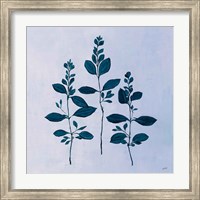 Framed Botanical Study IV Blue