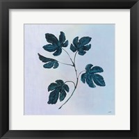 Framed Botanical Study III Blue