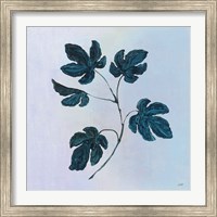 Framed 'Botanical Study III Blue' border=