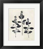 Framed Botanical Study IV