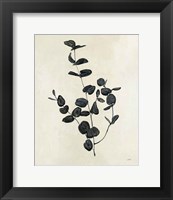 Framed Botanical Study II