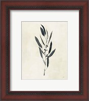 Framed 'Botanical Study I' border=