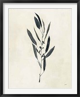 Framed 'Botanical Study I' border=