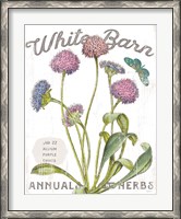 Framed White Barn Flowers VI