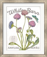 Framed White Barn Flowers VI