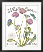 Framed White Barn Flowers VI