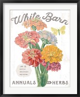 Framed White Barn Flowers V